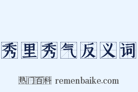 秀里秀气反义词是什么意思的图片